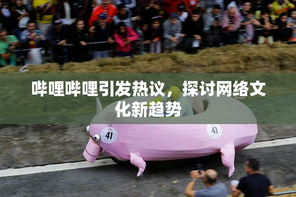 哔哩哔哩引发热议，探讨网络文化新趋势