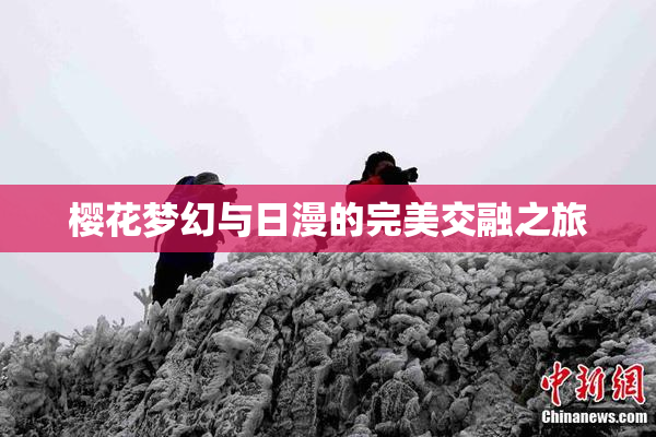 樱花梦幻与日漫的完美交融之旅