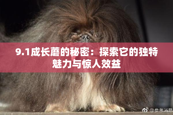 9.1成长蘑的秘密：探索它的独特魅力与惊人效益