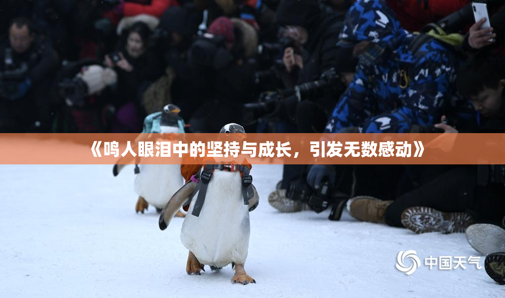 《鸣人眼泪中的坚持与成长，引发无数感动》