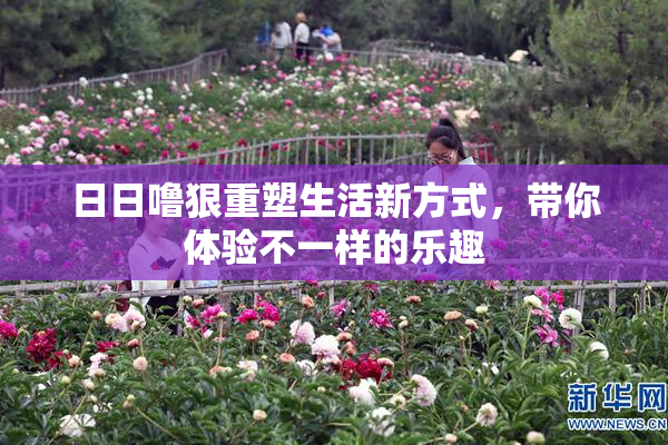 日日噜狠重塑生活新方式，带你体验不一样的乐趣