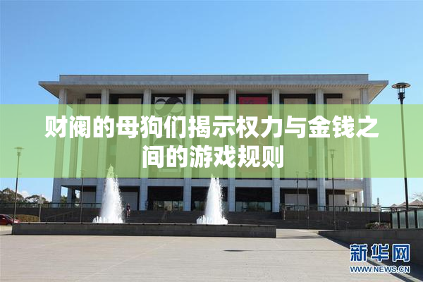 财阀的母狗们揭示权力与金钱之间的游戏规则