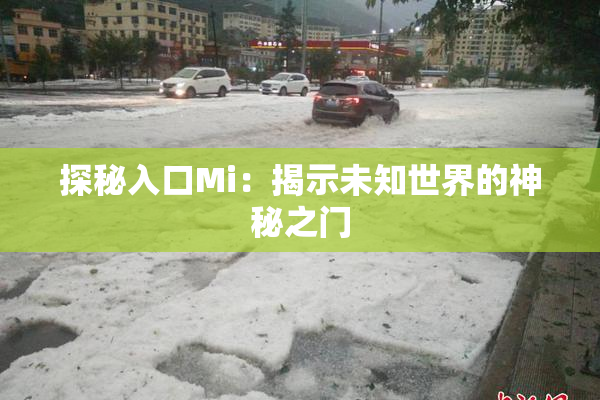 探秘入口Mi：揭示未知世界的神秘之门