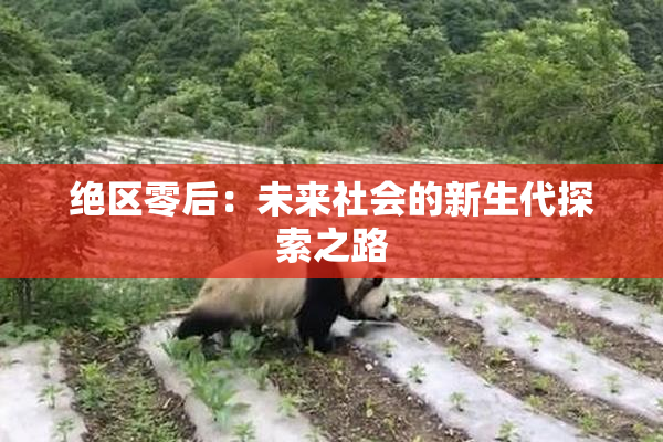 绝区零后：未来社会的新生代探索之路