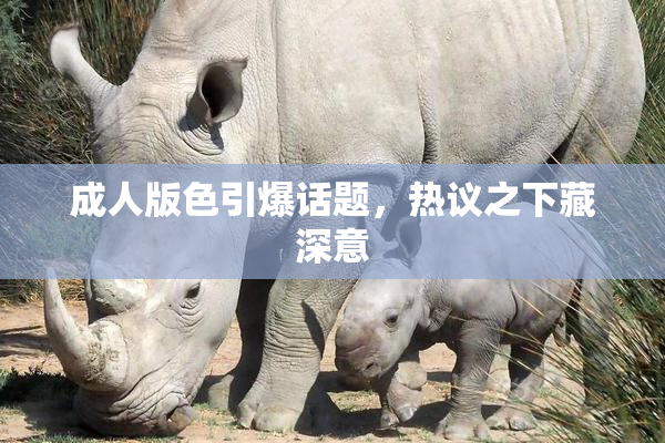 成人版色引爆话题，热议之下藏深意