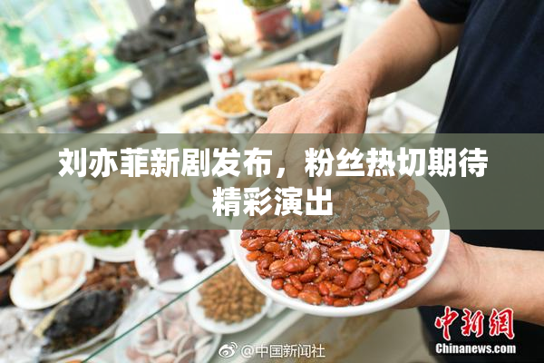 刘亦菲新剧发布，粉丝热切期待精彩演出