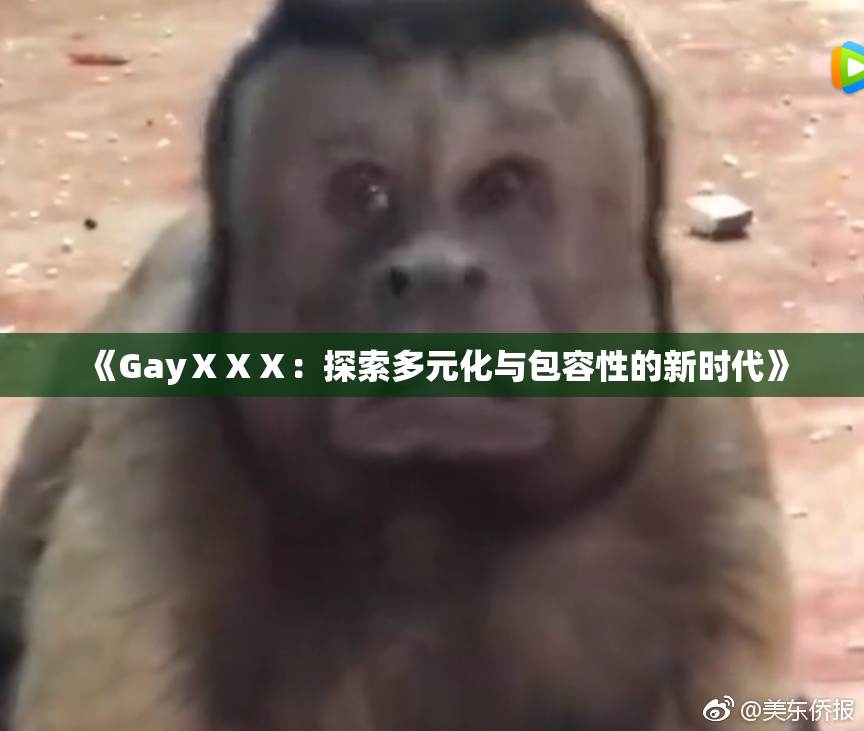 《GayⅩⅩⅩ：探索多元化与包容性的新时代》