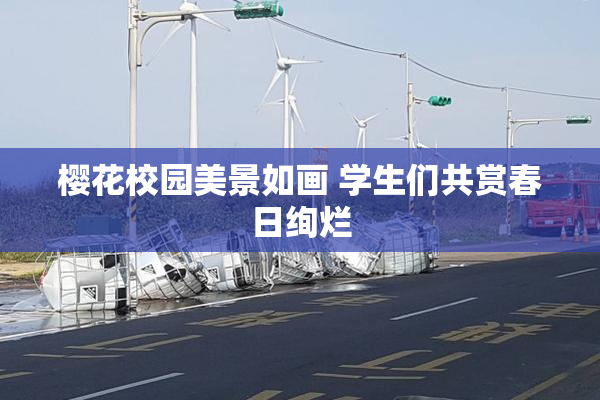 樱花校园美景如画 学生们共赏春日绚烂