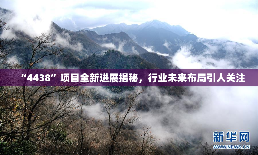 “4438”项目全新进展揭秘，行业未来布局引人关注