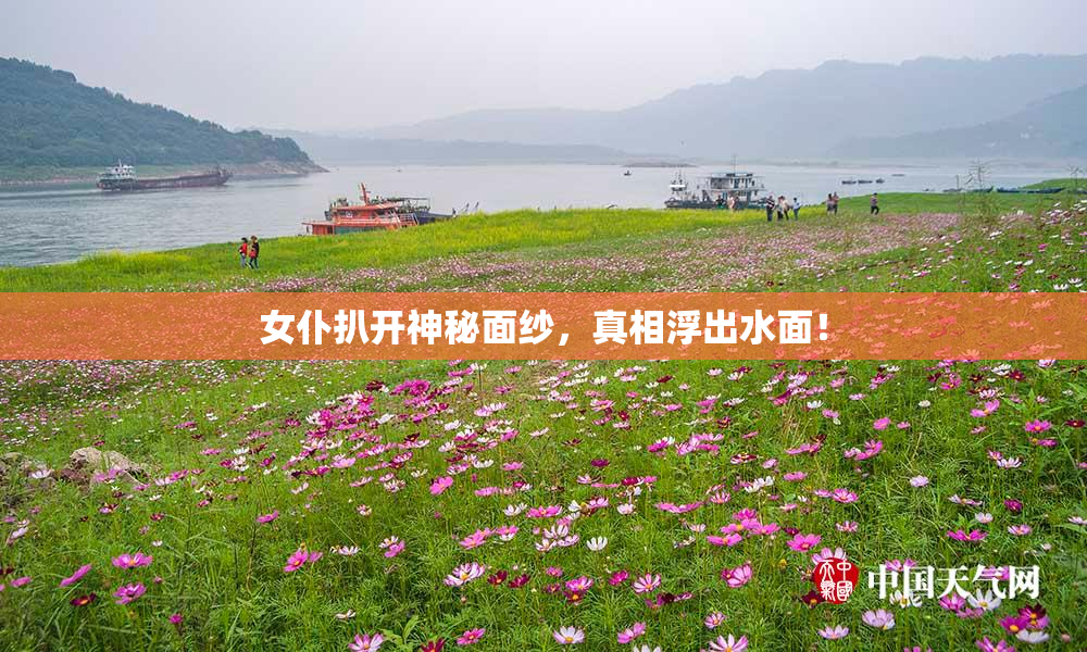 女仆扒开神秘面纱，真相浮出水面！
