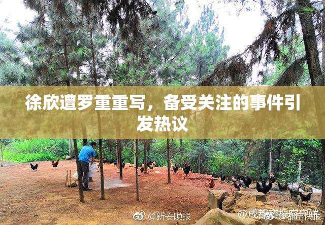 徐欣遭罗重重写，备受关注的事件引发热议