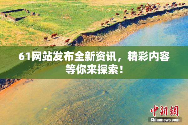 61网站发布全新资讯，精彩内容等你来探索！