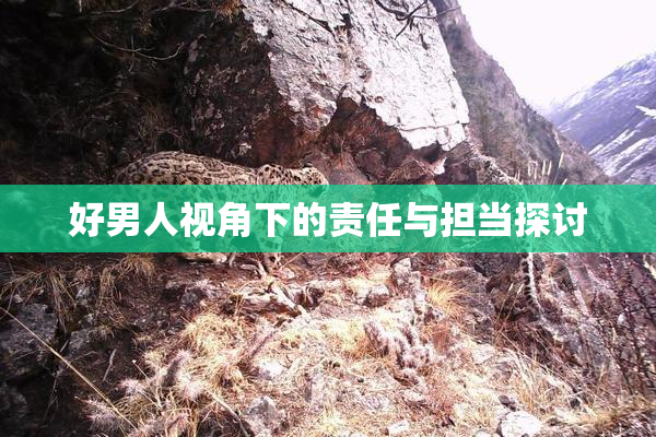 好男人视角下的责任与担当探讨