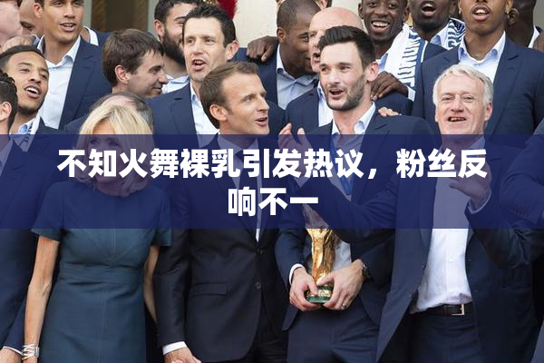 不知火舞裸乳引发热议，粉丝反响不一