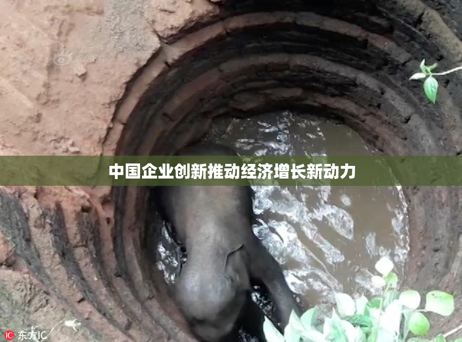 中国企业创新推动经济增长新动力