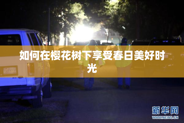 如何在樱花树下享受春日美好时光