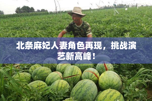 北条麻妃人妻角色再现，挑战演艺新高峰！