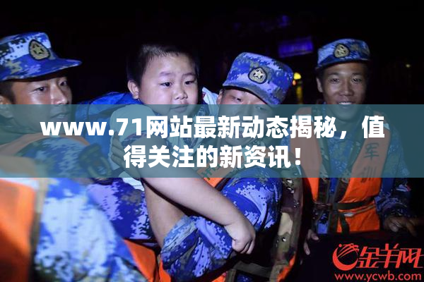 www.71网站最新动态揭秘，值得关注的新资讯！
