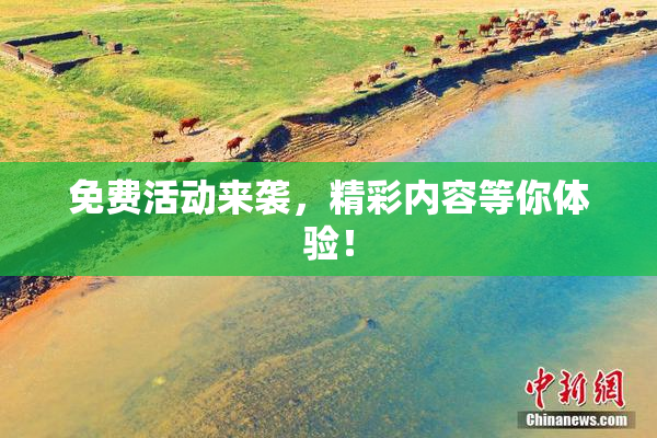 免费活动来袭，精彩内容等你体验！