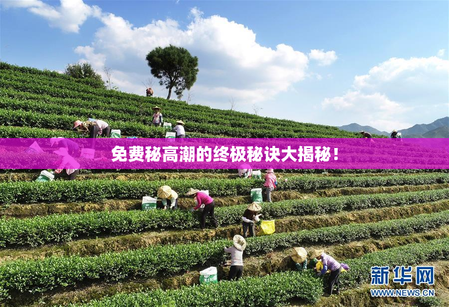 免费秘高潮的终极秘诀大揭秘！