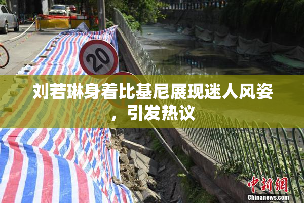 刘若琳身着比基尼展现迷人风姿，引发热议