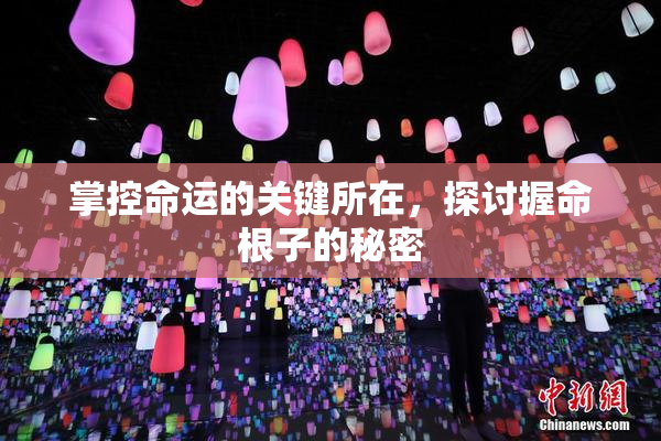掌控命运的关键所在，探讨握命根子的秘密