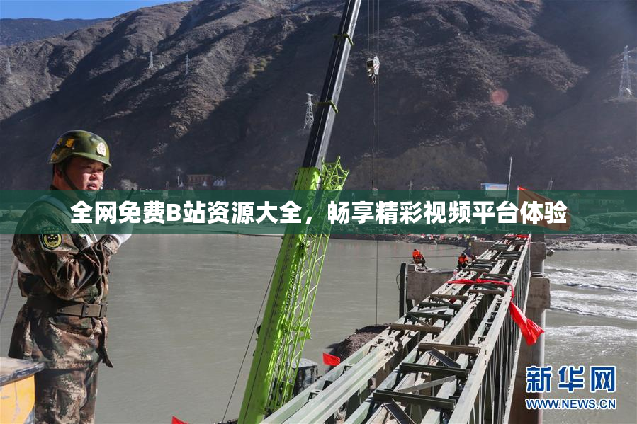 全网免费B站资源大全，畅享精彩视频平台体验