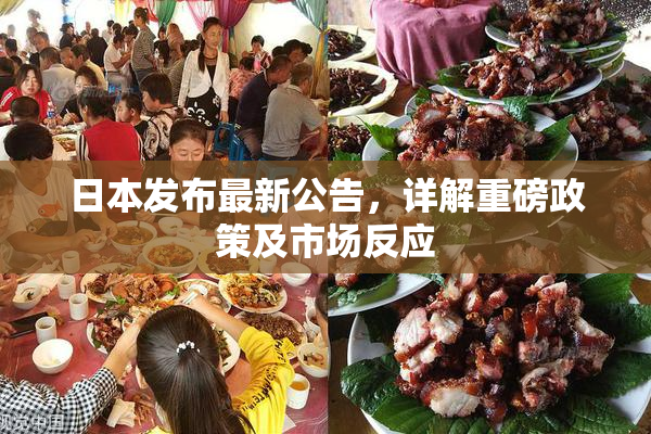 日本发布最新公告，详解重磅政策及市场反应