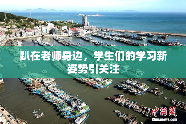 趴在老师身边，学生们的学习新姿势引关注