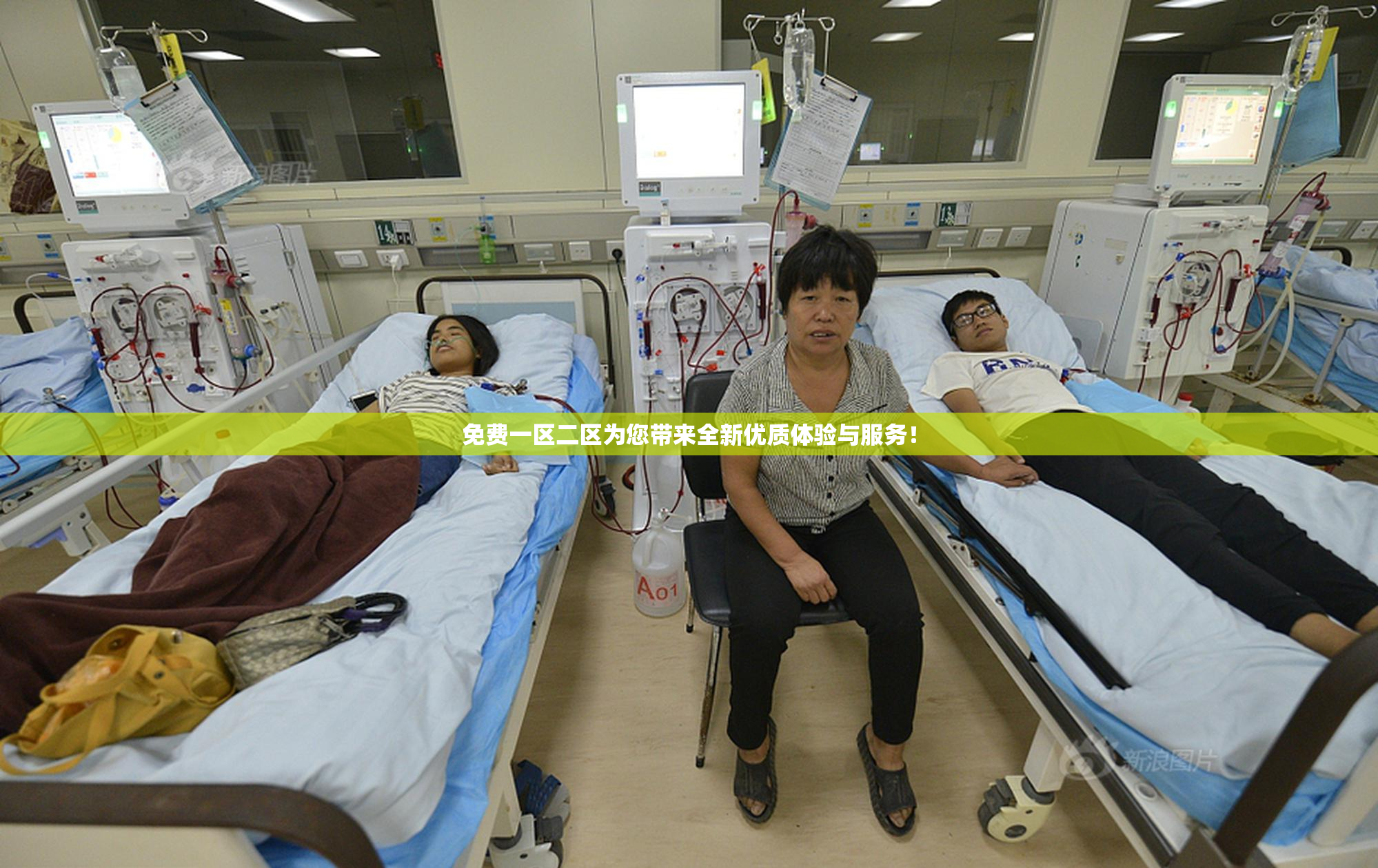 免费一区二区为您带来全新优质体验与服务！