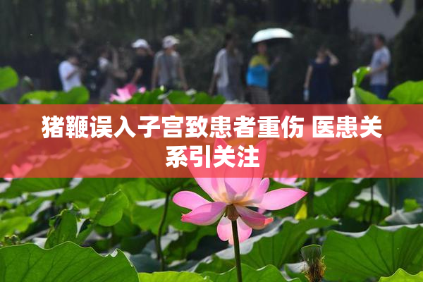 猪鞭误入子宫致患者重伤 医患关系引关注