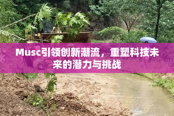 Musc引领创新潮流，重塑科技未来的潜力与挑战