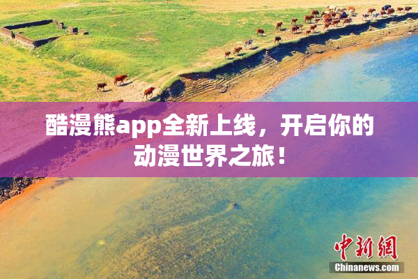 酷漫熊app全新上线，开启你的动漫世界之旅！