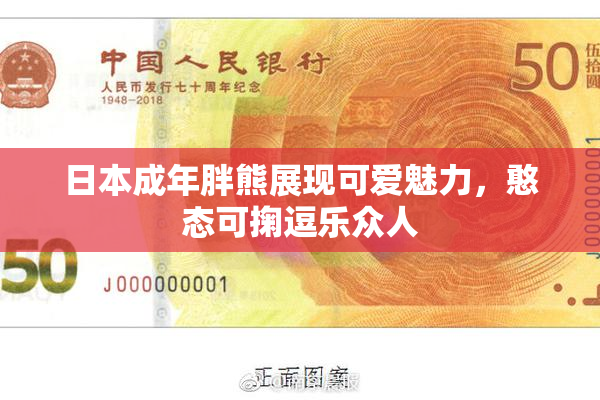 日本成年胖熊展现可爱魅力，憨态可掬逗乐众人