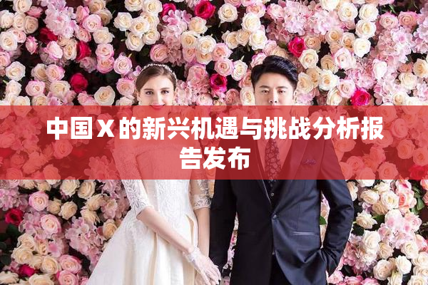 中国Ⅹ的新兴机遇与挑战分析报告发布