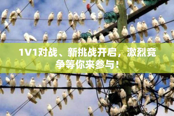 1V1对战、新挑战开启，激烈竞争等你来参与！
