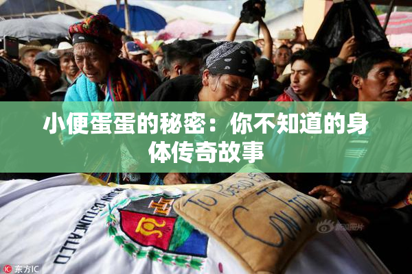 小便蛋蛋的秘密：你不知道的身体传奇故事
