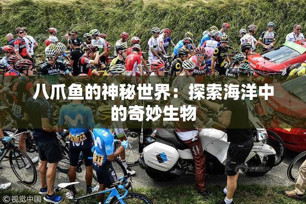 八爪鱼的神秘世界：探索海洋中的奇妙生物