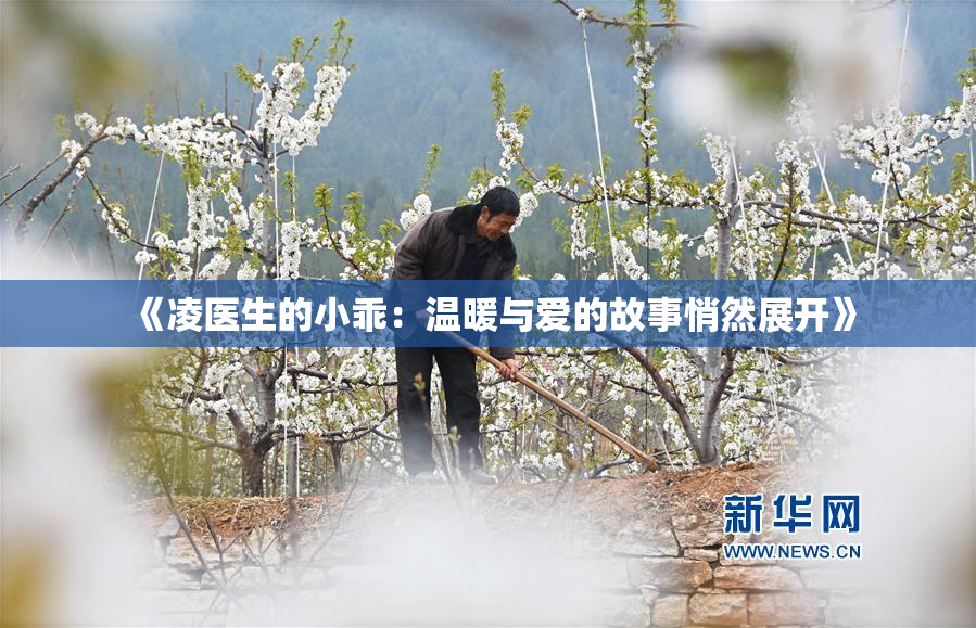 《凌医生的小乖：温暖与爱的故事悄然展开》