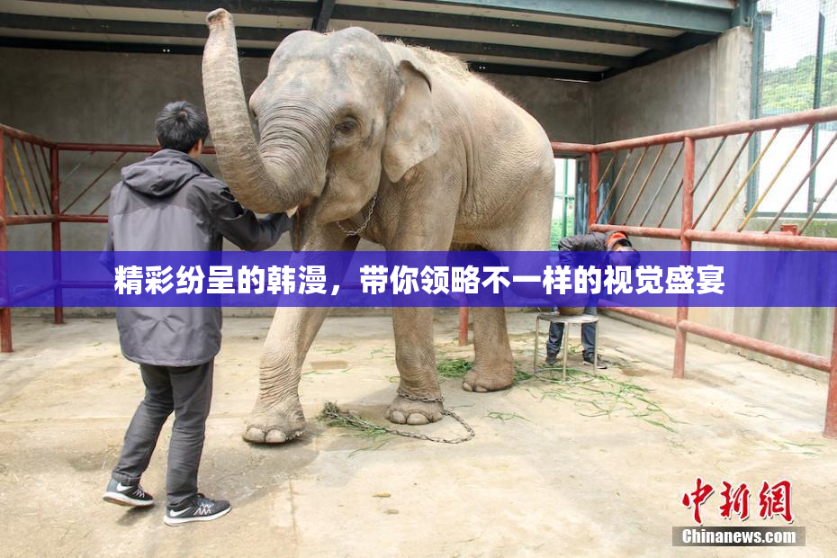 精彩纷呈的韩漫，带你领略不一样的视觉盛宴