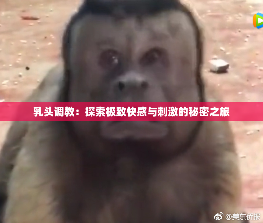 乳头调教：探索极致快感与刺激的秘密之旅