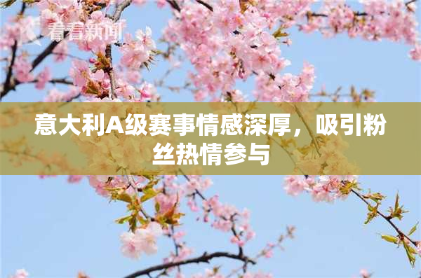 意大利A级赛事情感深厚，吸引粉丝热情参与