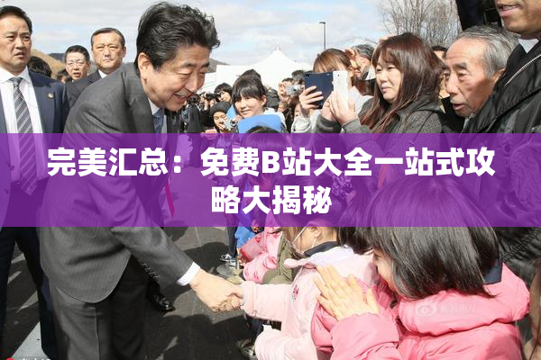 完美汇总：免费B站大全一站式攻略大揭秘