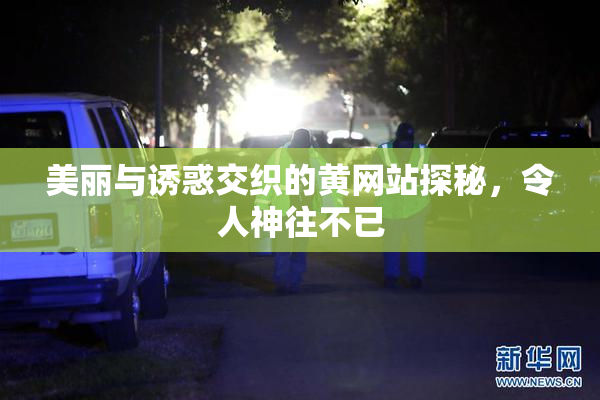 美丽与诱惑交织的黄网站探秘，令人神往不已