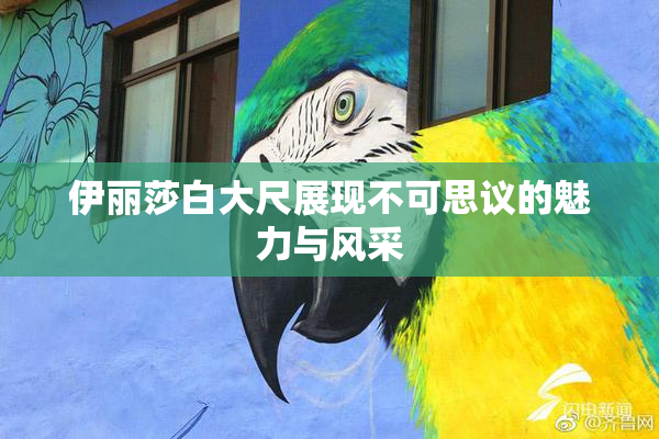 伊丽莎白大尺展现不可思议的魅力与风采