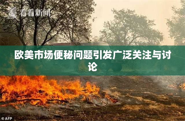 欧美市场便秘问题引发广泛关注与讨论