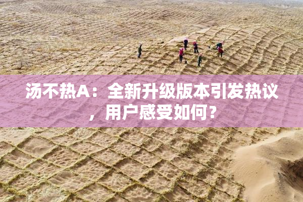 汤不热A：全新升级版本引发热议，用户感受如何？