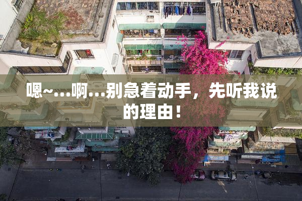 嗯~…啊…别急着动手，先听我说的理由！