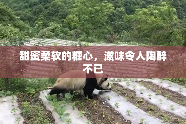 甜蜜柔软的糖心，滋味令人陶醉不已