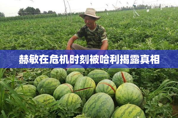 赫敏在危机时刻被哈利揭露真相